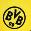 Zoom sur le logo du maillot vintage Borussia Dortmund "Coupe d'Allemagne" 1988/1989