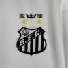 Zoom sur le logo du maillot Santos 2013