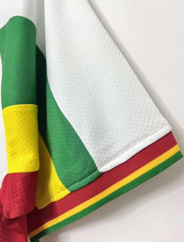 Zoom sur la manche du maillot vintage Sénégal Domicile Coupe du Monde 2002