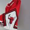 Zoom sur le logo du maillot vintage Chicago Bulls Extérieur Icon