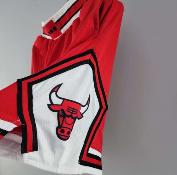 Zoom sur le logo du maillot vintage Chicago Bulls Extérieur Icon