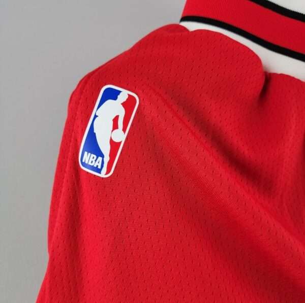 Zoom sur le logo du maillot vintage Chicago Bulls Extérieur Icon
